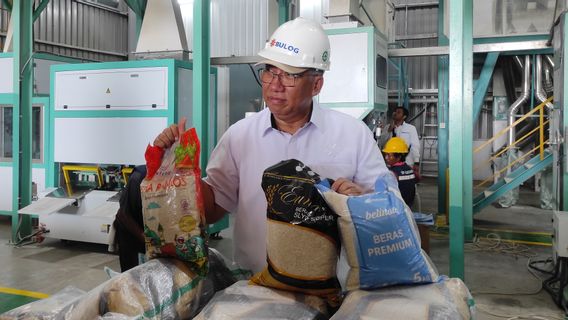 Keep Food Reserves, Bulog Serap 700,000 Tons Of Farmer's Rice Until June 2024