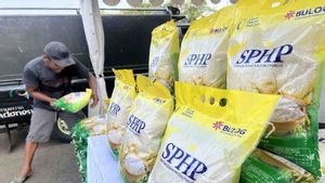 Fokus Pemerintah Mestinya Menyalurkan, Bukan Serap Beras