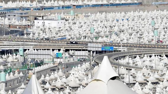 موسم الحج 1446ه: أعدت السلطات السعودية مئات الحافلات والخطوط الخاصة للمشاة لزراعة الأشجار