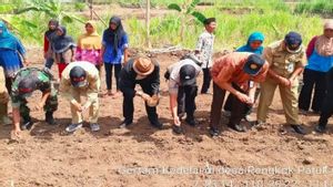 Warta Gunung Kidul: Luas Lahan Khusus Pertanian Di Gunung Kidul Menyusut 7.766 Hektare