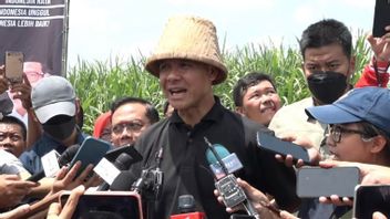 Ganjar Highlights Corruption At The Nganjuk Tebu Farmers' Rate, The Perpetrators Are Called Ndas Ireng Tikus