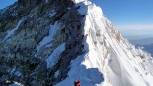 Pendaki Gunung Everest Wajib Gunakan Chip Pelacak, Otoritas Nepal: Mempersingkat Pencarian dan Penyelamatan Jika Kecelakaan