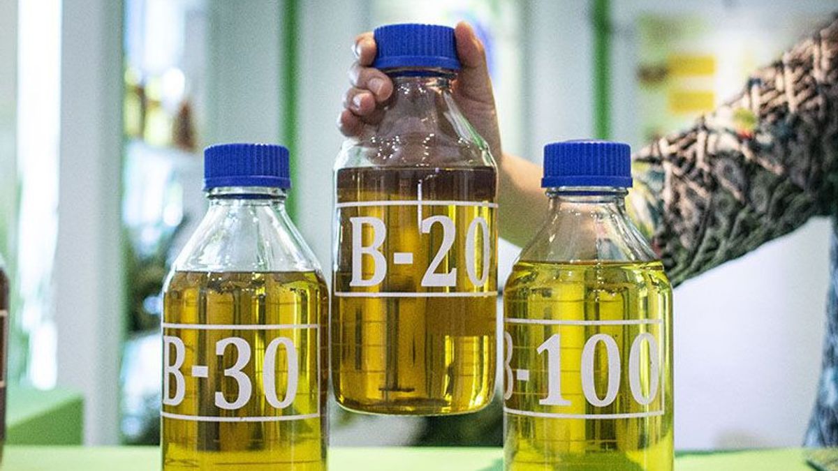 Dirjen EBTKE Beberkan Manfaat Implementasi Biodiesel
