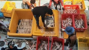 Hasil Tangkapan Ikan di PPN Sungailiat ditargetkan 477,6 ton