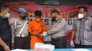 Residivis di Bali Ditangkap Lagi karena Curi 100 Kg Cabai di Kebun Petani Kintamani