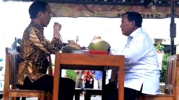 Jokowi-Prabowo Activities After Inaugurating Graha Akmil Magelang: Eating Meatballs Drinking Young Coconut