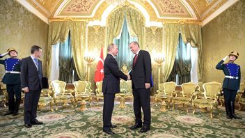 埃尔多安总统和普京今天在索契举行的会晤,被认为对恢复黑海谷物协议非常重要