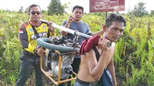 Pemulihan Lahan Gambut di Kalimantan Jadi Syarat Pengembangan Program Pangan