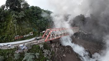 スメル噴火:3つの重傷、204ヘクタールの損傷した土地、528人の避難民