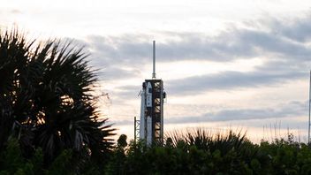 NASAのクルー3ミッションがSpaceXロケットで打ち上げられる