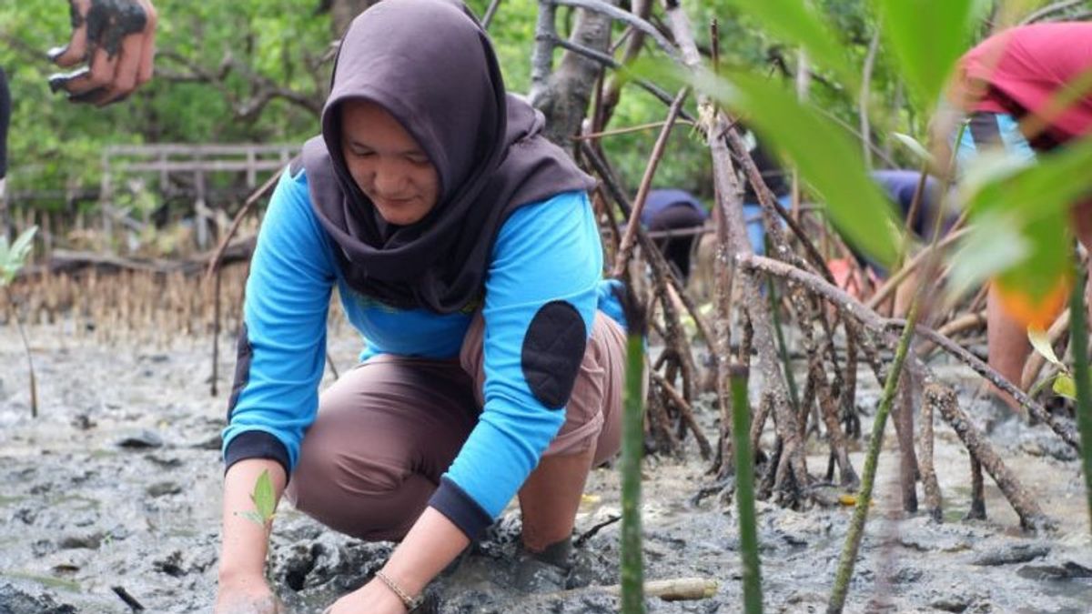Mengenal Saskia, Perempuan Pejuang Mangrove asal Kampung Lantebung Makassar