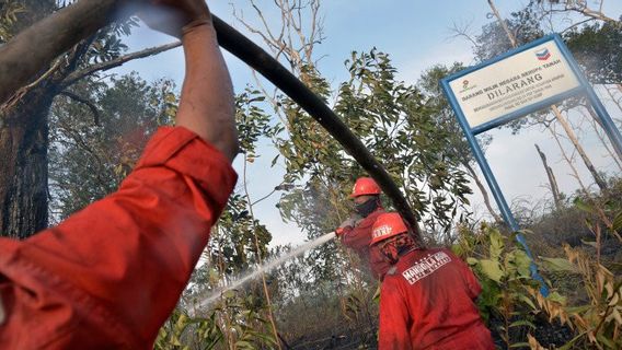 Chevron Nie BPBD Sur La Forêt Protégée De La Société à Riau Brûlé
