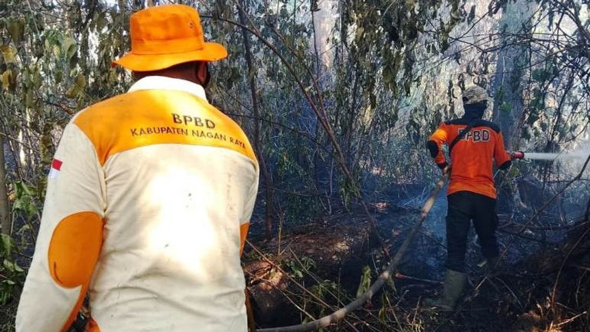 Land Fire In Nagan Raya Aceh Reaches 13 Hectares