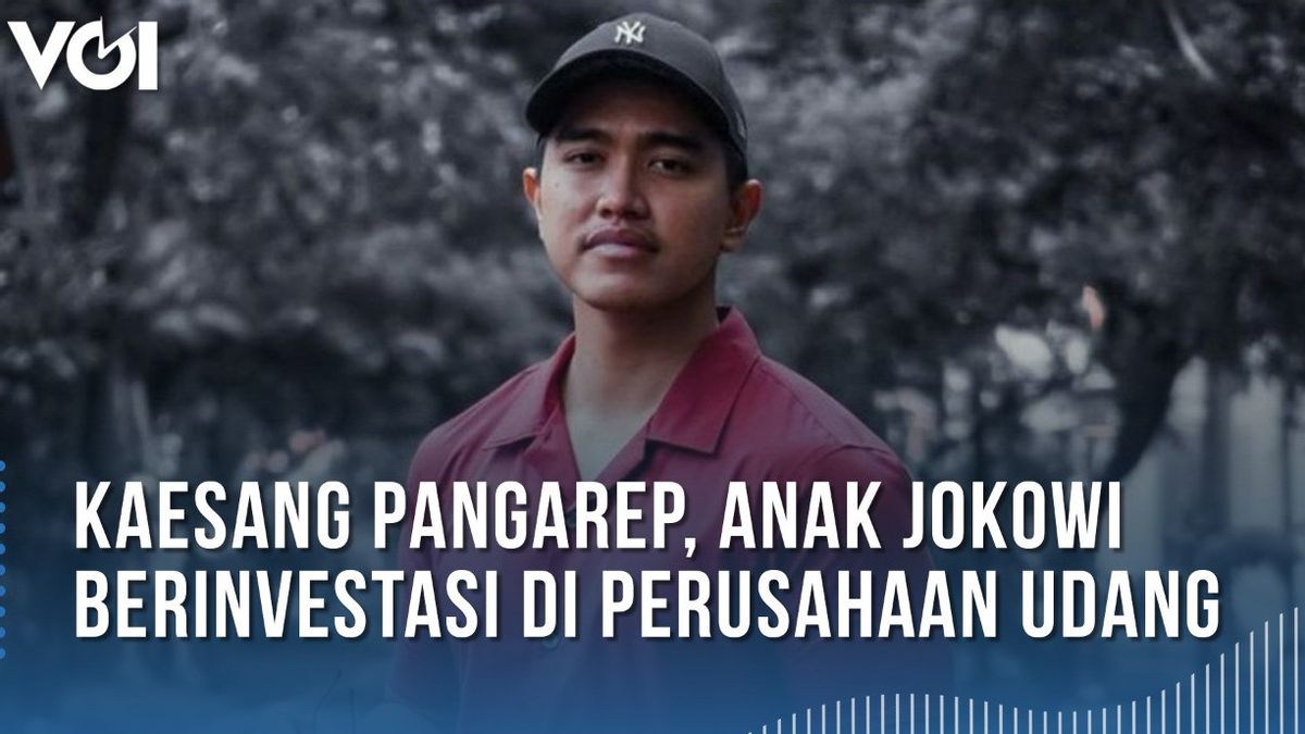 VIDEO: Kaesang Pangarep Anak Jokowi yang Semakin Menggurita, Kali Ini Ia Berinvestasi di Perusahaan Udang