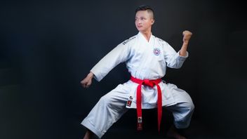 Complete Taekwondo Belt Color And Rate With Filosophical Arts