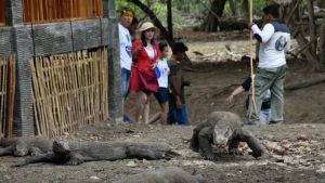 Di Hadapan Pendemo Tolak Kenaikan Tiket Masuk Taman Nasional Komodo, Bupati Manggarai Barat Ajak Massa Diskusi Besok 