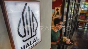 Polemik Sertifikasi Halal Produk Impor: MUI Dorong Perlakuan Setara bagi Produsen Lokal