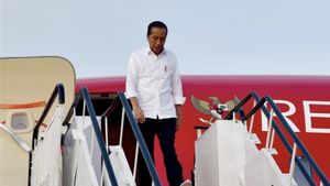“Ditinggalkan” Bambang Susantono, Jokowi ke Kaltim Tinjau IKN