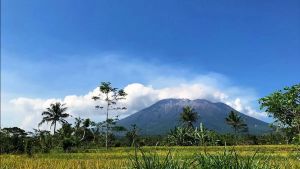 75 Hectare Fires In The Great Mountain Of Bali Forest Due To Hot Weather