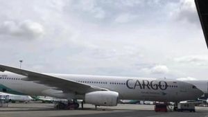 Tingkatkan Pendapatan Kargo, Garuda Indonesia Genjot Penerbangan Internasional untuk Ekspor