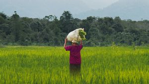 Otorita IKN Berkomitmen Jamin Keberlangsungan Petani di Kota Nusantara