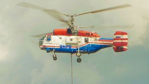 Riau Dapat Bantuan Helikopter dari BNPB untuk Tanggulangi Karhutla