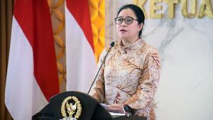 Kasus Mpox Meningkat, Puan Minta Pemerintah Segera Maksimalkan Proteksi Rakyat