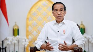 Jokowi Jawab Kritik Hasto PDIP: Food Estate Itu untuk Antisipasi Krisis Pangan
