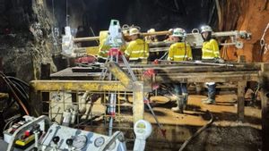 Tim Penyelamat Temukan Jenazah Dua dari Lima Pekerja Freeport yang Terjebak di Tambang Bawah Tanah