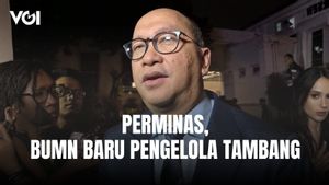 Perusahaan Mineral Nasional, BUMN Baru Pengelola Tambang