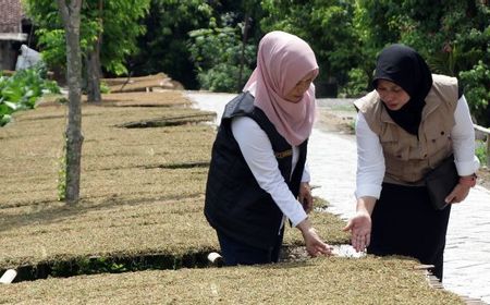 APTI Minta Presiden Prabowo Lindungi Jutaan Petani Tembakau RI