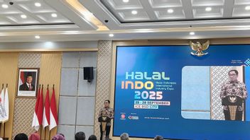 Wamenperin Akui Branding Produk Halal RI masih Minim, Kalah dari Thailand dan Korsel