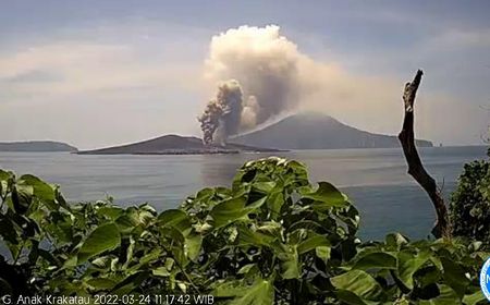 Gunung Anak Krakatau Meletus, Semburkan Material Panas Hingga 1.000 Meter