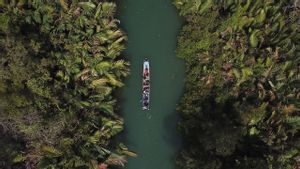 Contoh Hutan Konservasi​ di Indonesia dan Luar Negeri