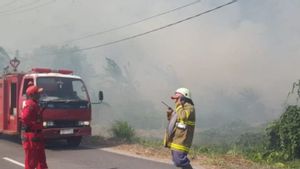 Damkar Belitung Padamkan Api yang Membakar Hutan Seluas 3 Hektare