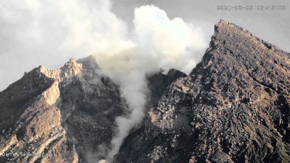 This Morning Vomited Hot Clouds, This Is The Latest Condition Of Mount Merapi