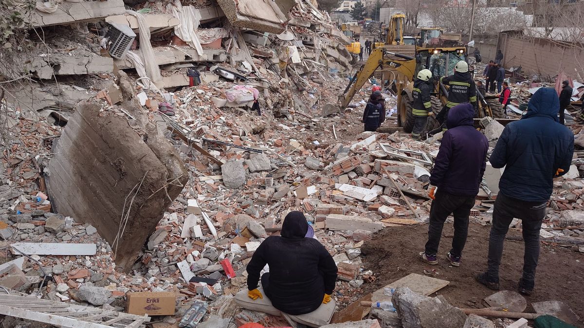 11天埋在土耳其地震废墟中，这只猫在分娩中途被疏散：直接去断层手术