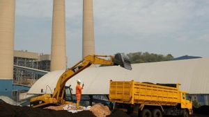 PLN Perkuat Pasokan Biomassa untuk Gantikan Batu Bara di PLTU