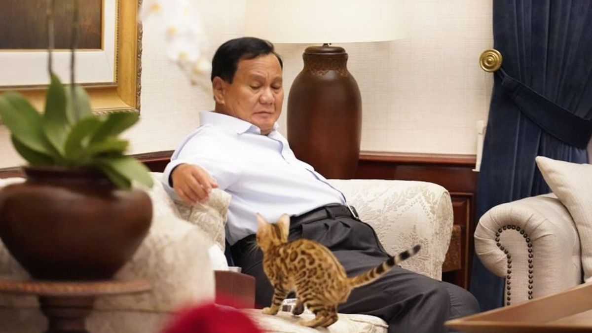 Gerindra Sebut Pertemuan Prabowo dan PPP Masih Terkendala Gugatan Sengketa Pemilu