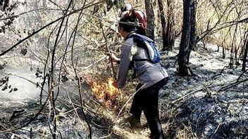 10 Hari Kebakaran Kawasan Gunung Arjuno Belum Padam, Titip Api Malah Meluas