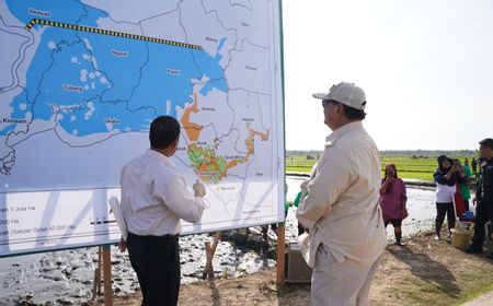 Kunjungan Kerja ke Merauke, Prabowo Berencana Cetak 1 Juta Hektare Sawah