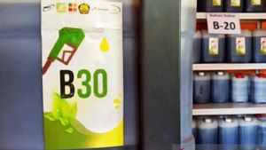Turun 10,9 Persen, Harga Indeks Pasar BBN Biodiesel Bulan Juni Rp10.234 per Liter