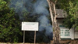 2 Hari Mahasiswa Hilang Saat Ekspedisi di Pulau Sempu, Kampus IPB Dirikan Posko Bersama TNI AL
