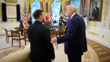 President Trump Reveals Differences Regarding Ukraine's Peace Plan To Stay Little