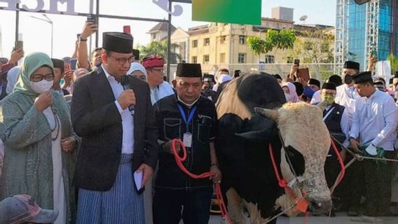 Do Not See The Sacrificial Cow 024 Belonging To Anies With Political Motives, NasDem: Just A Coincidence