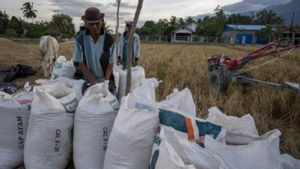 Bulog Pastikan Beras di Sulawesi Tengah Terserap Merata