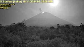 Saturday Morning, Mount Semeru Erupted Again, Alert Status