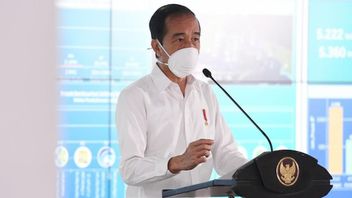 Jokowi Pamer Program dan Fasilitas Papua Youth Creative Hub yang Anggarannya Mencapai Rp95 Miliar