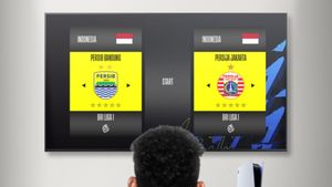 Link Live Streaming Liga 1 Persib Vs Persija: Persaingan Papan Atas