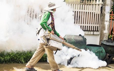 Efek Fogging Terhadap Ibu Hamil Lengkap dengan Langkah Antisipasi saat Pengasapan